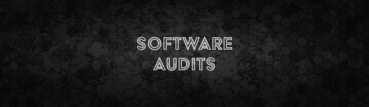 Why Software Audits Are the New Black