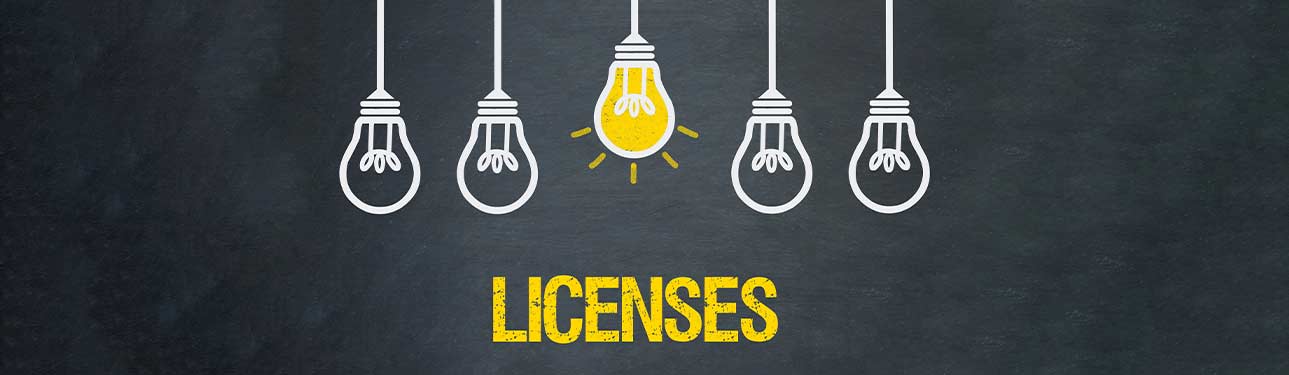 How to Avoid Buying More Software Licenses