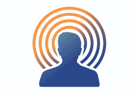 Origina can provide on-site technical support via independent Global IBM® Experts for companies that require in-person assistance on projects.