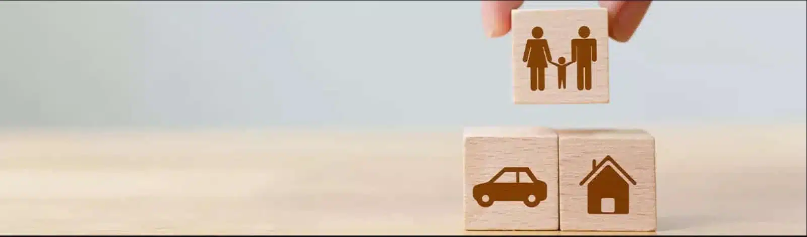 Global Insurance Provider Saves 70% on Software Support