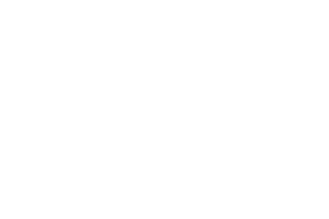 BT_logo