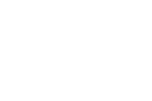 Capital_One_logo