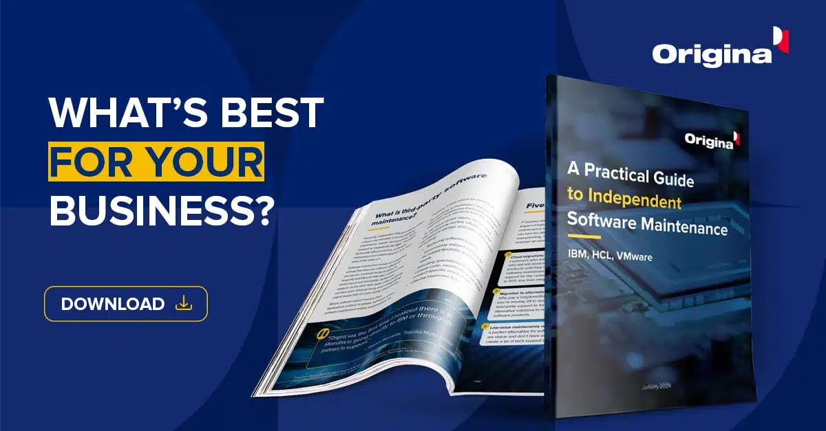 Download Orgina's guide to Independent Software Maintenance