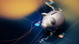 IBM Software Portfolio Audit: A Practical Guide to Reducing IT Spend