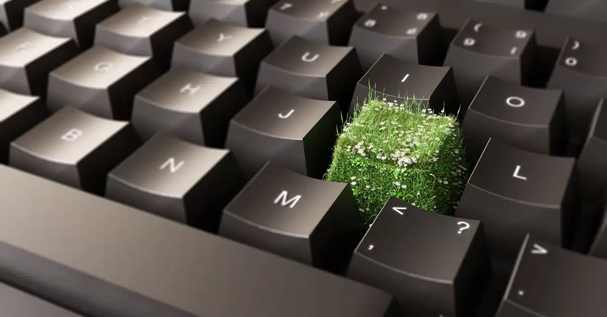 Sustainability and Software Support 